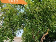 -莲池书院博物馆