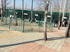 -秦皇岛野生动物园