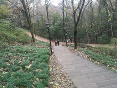 -峙山公园