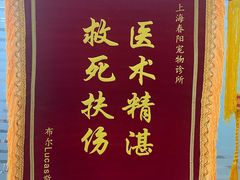 -暖阳宠物医院·犬猫康复中心·骨科
