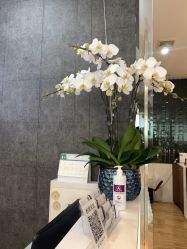 点击看大图 -意廊 Hair Salon