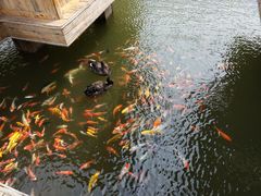 -渔掌门(铁东店)