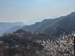 -大岭沟猕猴桃谷风景区