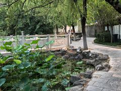 -莲湖公园