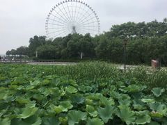 -蠡湖大桥公园