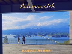 -千岛湖天屿景区
