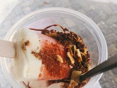 椰奶雪雪冻-眞宗·椰汁是大王(小娄巷店)