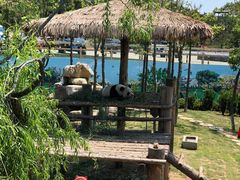 -西霞口神雕山野生动物世界