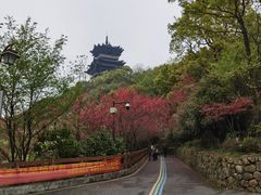 -杭州半山国家森林公园