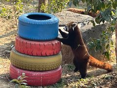 -杭州野生动物世界