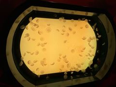 -沈阳海洋探索中心