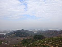 -冶父山国家森林公园