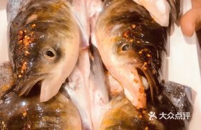 Signature Bighead Carp Head