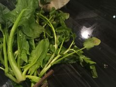 -东椰·海南椰子鸡火锅(朝阳门店)