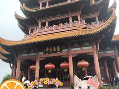 -黄鹤楼公园(黄鹤楼)