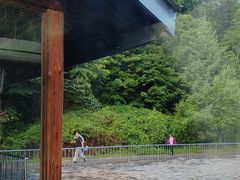 -五营红松林海景区