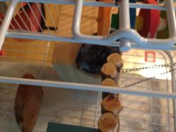 IMG_1548-爱嘉生活美甲美睫纹绣半永久