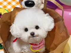 -麦当劳(北京路广百广场店)