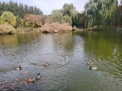 -将府公园