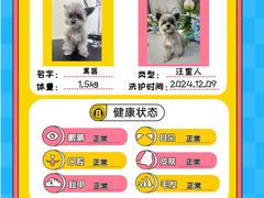 -BABIT巴比特宠物(MOMOPARK店)