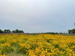 -苏州湾体育公园