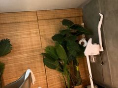 -施奈儿.洗头頭療.按摩SPA.采耳(上梅林店)