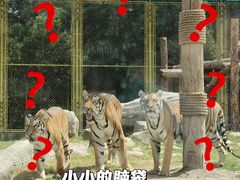 -上海野生动物园
