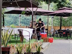 -张鸟园农家乐(张鸟园店)