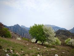 -大平台龙居瀑布旅游区