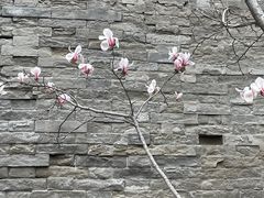 -东华门大街小区