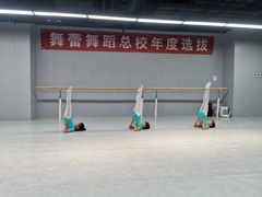 -舞蕾舞蹈(特长生校区)