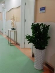 -海峡医疗美容医院