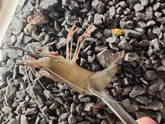 -DGE季风钓虾营地·团建·聚会