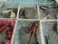 -霞涌市场海鲜摆卖区