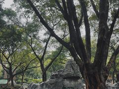 -柳侯公园