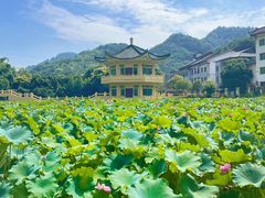 -地心探险极地
