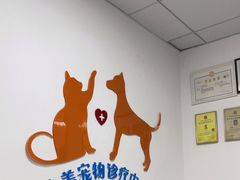 -美美宠物诊疗中心·异宠·骨科(滨江东信分院)