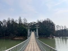 -东湖落雁景区