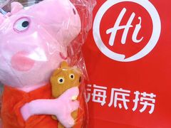 -海底捞火锅(金山百联店)