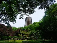 -玲珑塔公园