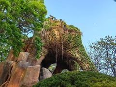 -燕窝岭