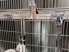 -宠福鑫康馨动物医院·骨科·眼科