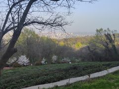 -南京市江宁方山