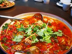 -飞虹鱼馆(春华路店)