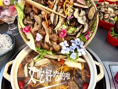 -大理地热国