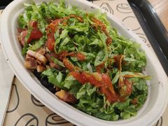 -油梨树 AVOCADO TREE(亮马桥店)