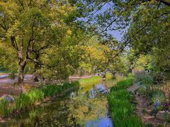 -上海共青森林公园