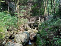 -王顺山国家森林公园