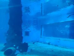 -北戴河圣蓝海洋公园