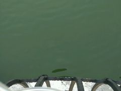 -N多寿司(万尚城店)